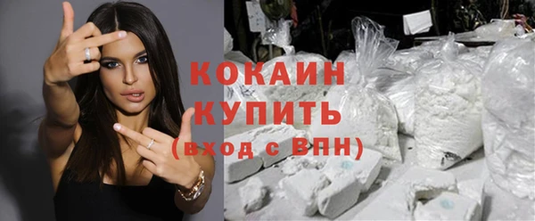 ешки Алексин