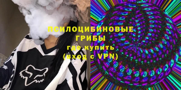 ешки Алексин