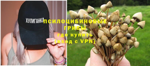дживик Алексеевка