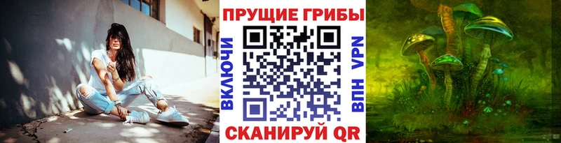 Псилоцибиновые грибы GOLDEN TEACHER дарнет шоп Рыбное